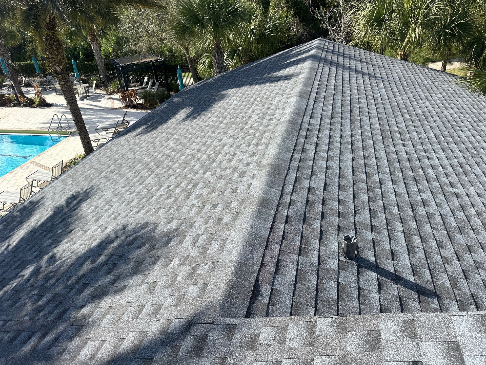 Sunny day, textured roof, palm trees